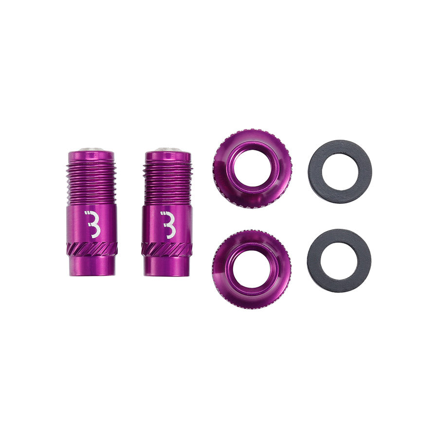 BBB Cycling, BTI-165 CoreCap, Tubeless Valve, Black, Pair