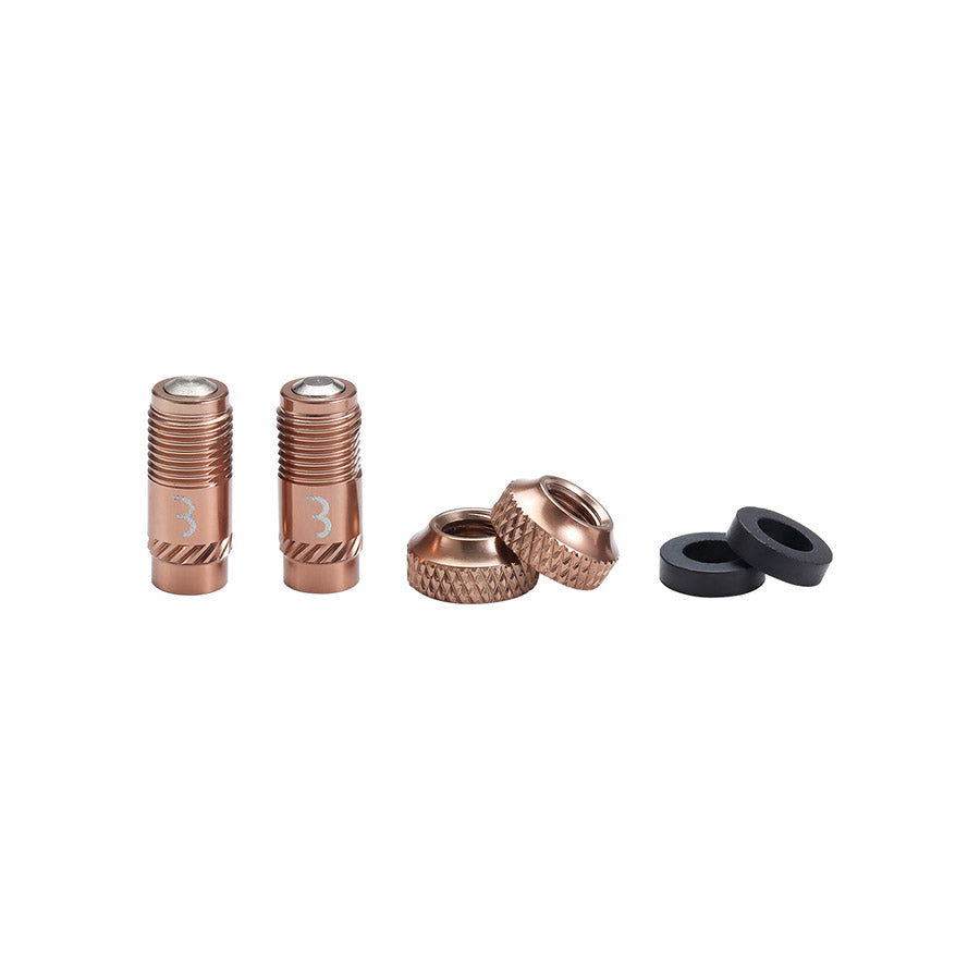 BBB Cycling, BTI-165 CoreCap, Tubeless Valve, Black, Pair
