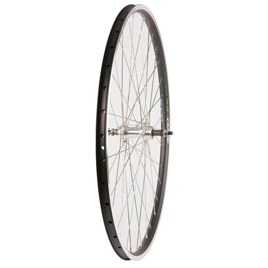 Wheel Shop, Evo Tour 19 Black/ Formula DC-20, Wheel, Front, 700C / 622, Holes: 36, QR, 100mm, Rim and Disc IS 6-bolt