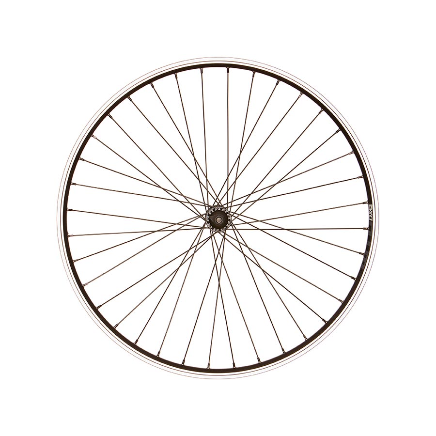 Wheel Shop, WTB DX18, Wheel, Front, 26'' / 559, Holes: 36, Bolt-on, 100mm, Rim