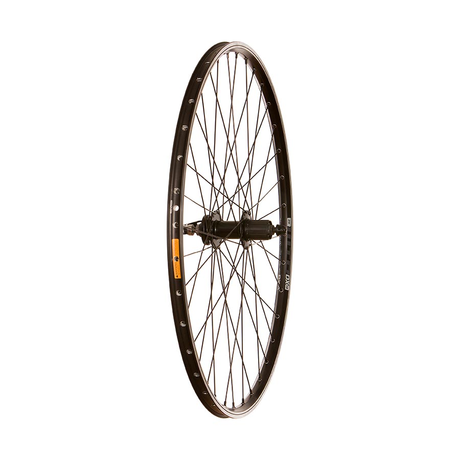 Wheel Shop, WTB DX18, Wheel, Front, 700C / 622, Holes: 36, QR, 100mm, Rim and Disc IS 6-bolt