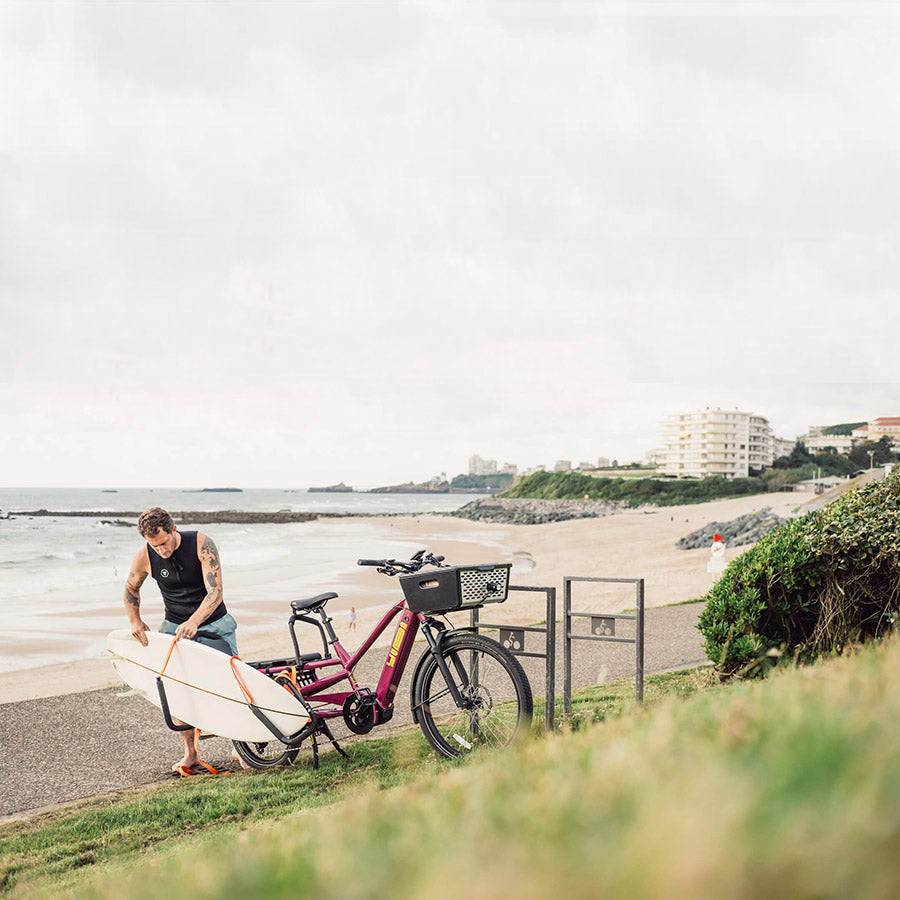 YUBA, Surf's Up Universal