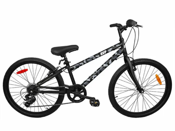 AVP H24