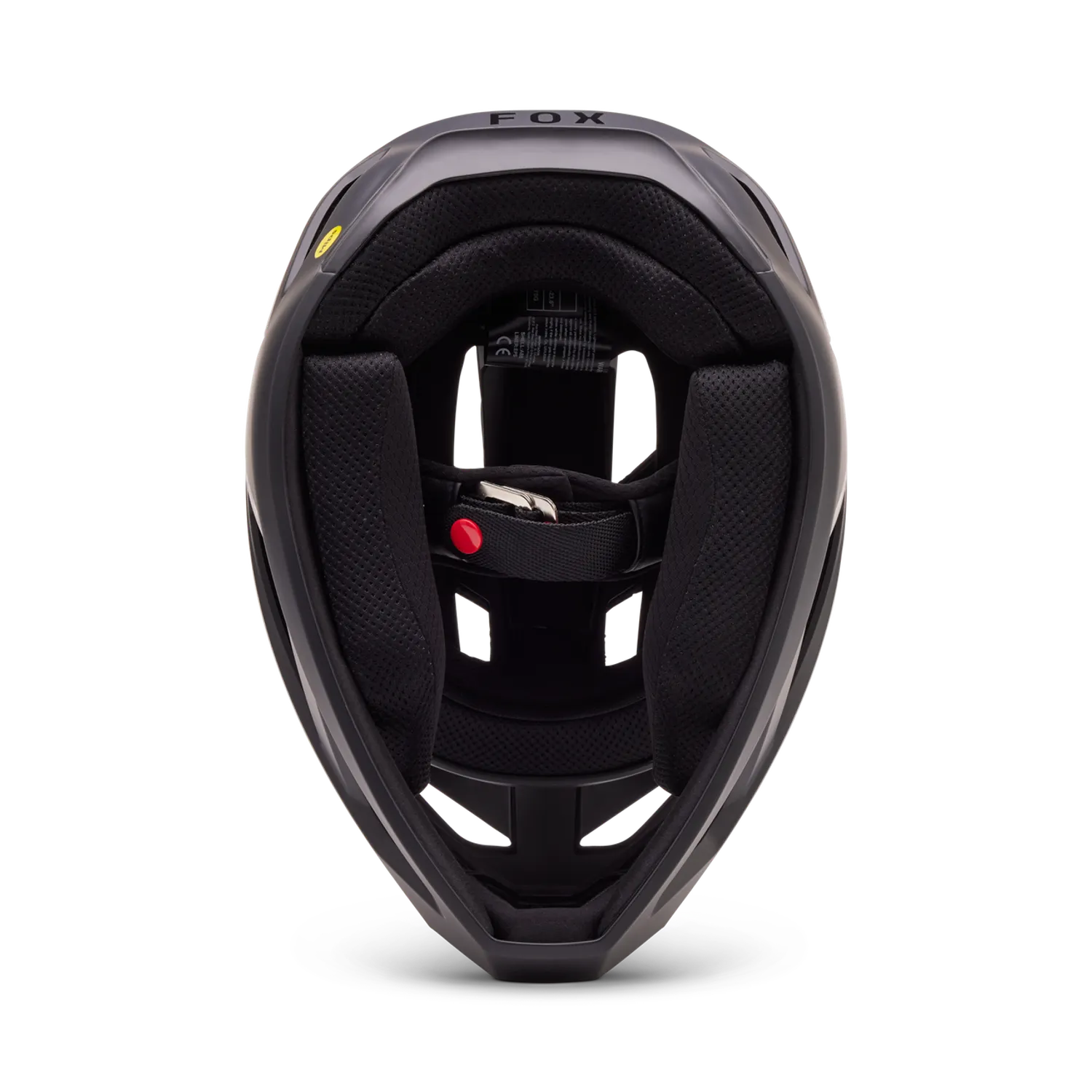 Fox Racing Rampage Helmet 2024
